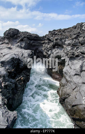 Paysage avec jet d'eau par l'eau de mer a frappé par tunnel entre des pierres sur la côte près de la route 16 en piste Olle Jeju Banque D'Images