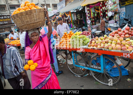 Femme dans un sari rose vente d'oranges au Devaraja marché de fruits et légumes à Mysore Banque D'Images