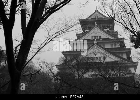 Le noir et blanc du château d'Osaka sur un sombre matin. Banque D'Images