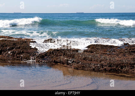 Vagues se brisant sur les rochers couverts d'algues et les balanes Banque D'Images