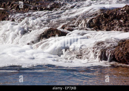 L'eau mousse blanc coulant au-dessus des roches couvertes d'algues Banque D'Images