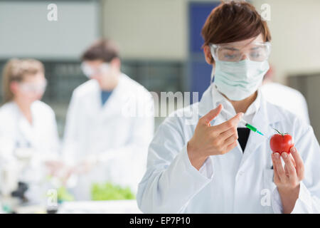 Woman injecting liquid in tomato en faisant des recherches Banque D'Images
