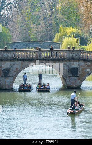 Promenades en barque sur la rivière Cam à Cambridge en Angleterre prend dans le dos des célèbres collèges de l'université et est populaire auprès des touristes Banque D'Images