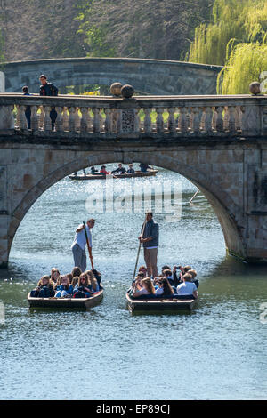 Promenades en barque sur la rivière Cam à Cambridge en Angleterre prend dans le dos des célèbres collèges de l'université et est populaire auprès des touristes Banque D'Images