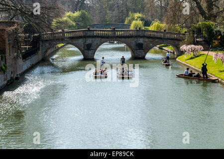 Promenades en barque sur la rivière Cam à Cambridge en Angleterre prend dans le dos des célèbres collèges de l'université et est populaire auprès des touristes Banque D'Images