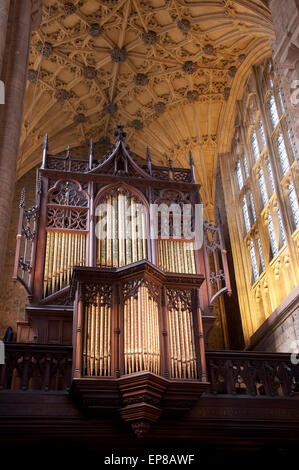 L'architecture de l'église. Les tuyaux d'orgue de l'époque victorienne, et une partie de la magnifique plafond voûté historique de l'abbaye de Sherborne dans le Dorset, Angleterre, Royaume-Uni. Banque D'Images