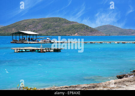 L'île de Torres Strait vue vendredi de pearl farm Banque D'Images