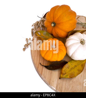 Assortiment de citrouilles et courges, jaune feuilles d'automne sur planche de bois rustique ronde avec copie espace fond blanc Banque D'Images