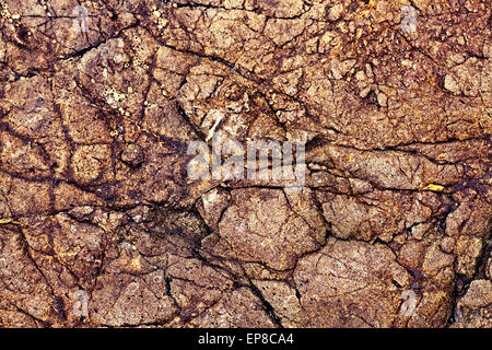 Brown stone texture background seamless texture background rock, closeup Banque D'Images