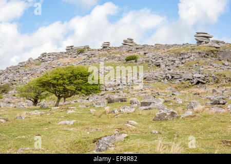 Cheesewring Bodmin Moor cornwall england uk Banque D'Images