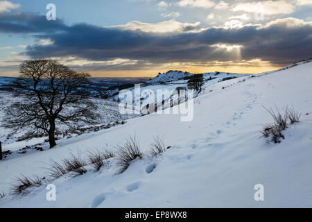 Vue vers les roches de l'Morridge Ramshaw, parc national de Peak District, Staffordshire, Angleterre Banque D'Images