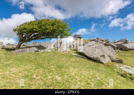 Cheesewring Bodmin Moor cornwall england uk Banque D'Images