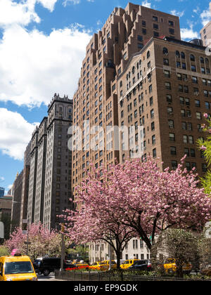 Street Scene, Park Avenue, Residential Apartments, NYC, Etats-Unis Banque D'Images