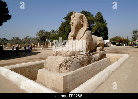 Sphinx d'Albâtre Egypte Memphis Banque D'Images