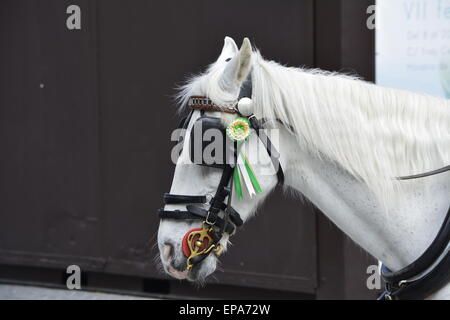 Vistas de Sevilla. Caballo engalanado Feria de Abril Banque D'Images