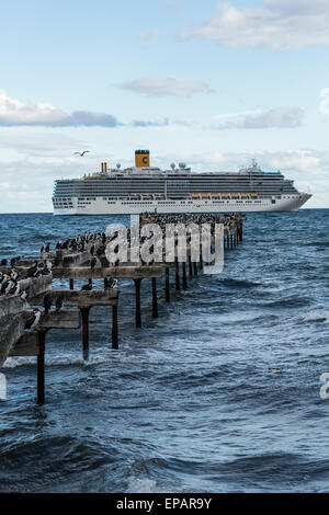 Troupeau de cormorans impériaux sur la jetée en face de bateau de croisière, Punta Arenas, Chili Banque D'Images