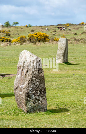 The hurlers Pierre à Bodmin Cornwall UK engloand kernow Banque D'Images