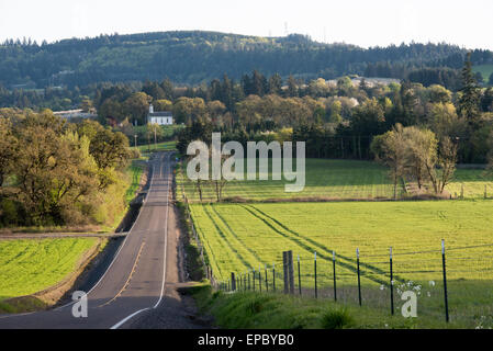 Vue de la route Spring Valley et la vallée de printemps dans l'Église presbytérienne Eola-Amity Hills AVA près de Salem, Oregon. Banque D'Images