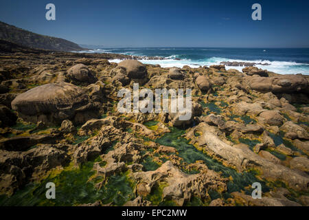 Intégré à Paramoudras grès du littoral de Guipúzcoa (Espagne). Paramoudras enchassés dans le grès de la côte de Guipuscoa Banque D'Images