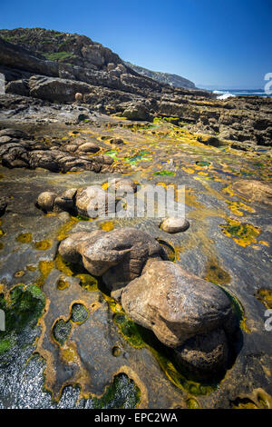 Intégré à Paramoudras grès du littoral de Guipúzcoa (Espagne). Paramoudras enchassés dans le grès de la côte de Guipuscoa Banque D'Images