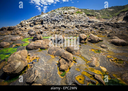 Intégré à Paramoudras grès du littoral de Guipúzcoa (Espagne). Paramoudras enchassés dans le grès de la côte de Guipuscoa Banque D'Images