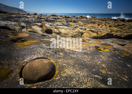 Intégré à Paramoudras grès du littoral de Guipúzcoa (Espagne). Paramoudras enchassés dans le grès de la côte de Guipuscoa Banque D'Images