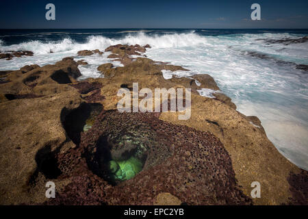 Les caries laissé par paramoudras anciennement intégré à grès du littoral de Guipúzcoa (Espagne). Cavités à paramoudras (Espagne). Banque D'Images