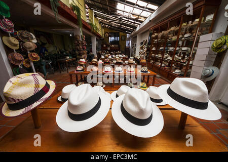 Chapeaux Panama à vendre dans le showroom du Barranco Panama Hat Factory, Cuenca, Azuay, Equateur Banque D'Images