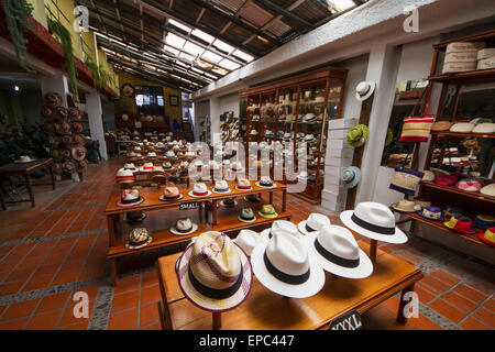 Chapeaux Panama à vendre dans le showroom du Barranco Panama Hat Factory, Cuenca, Azuay, Equateur Banque D'Images