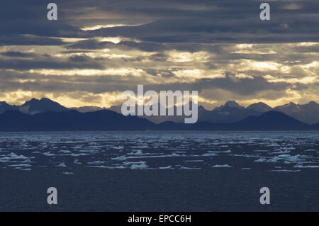 Flotteurs de glace au large de la côte du Groenland,flotteurs de glace,Iceberg au large de la côte du Groenland,Groenland,Nord,Atlantique,Océan,Iceberg,flotteurs de glace Eclairage naturel, Landes naturelles Banque D'Images