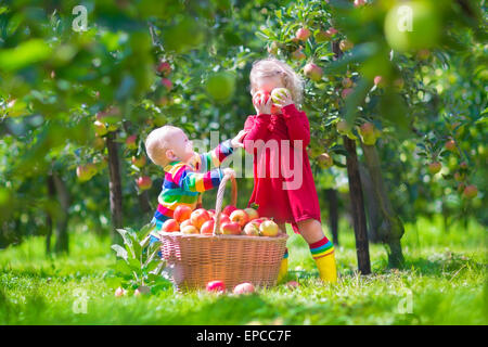 Heureux les petits enfants, bébé fille et bébé garçon drôle, frère et soeur, jouer ensemble dans un beau jardin de fruits Banque D'Images