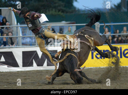 Cloverdale, Canada. 15 mai, 2015. Cort Scheer de l'United States livre concurrence à saddle bronc riding à l'assemblée annuelle 2015 Rodéo Professionnel Cloverdale à Cloverdale, BC, Canada, 15 mai 2015. Le Cloverdale Rodeo a été voté la première Performance Rodeo en Amérique du Nord par la Professional Rodeo Cowboy's Association en 1984. Aujourd'hui, le Rodéo de Cloverdale et exposition est la deuxième plus grande communauté rodeo au Canada, attirant des concurrents et des spectateurs dans le monde entier. Crédit : Sergei Bachlakov/Xinhua/Alamy Live News Banque D'Images