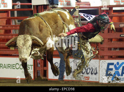 Cloverdale, Canada. 15 mai, 2015. Howdy Nuage de la United States participe à la monte de taureau à l'assemblée annuelle 2015 Rodéo Professionnel Cloverdale à Cloverdale, BC, Canada, 15 mai 2015. Le Cloverdale Rodeo a été voté la première Performance Rodeo en Amérique du Nord par la Professional Rodeo Cowboy's Association en 1984. Aujourd'hui, le Rodéo de Cloverdale et exposition est la deuxième plus grande communauté rodeo au Canada, attirant des concurrents et des spectateurs dans le monde entier. Crédit : Sergei Bachlakov/Xinhua/Alamy Live News Banque D'Images