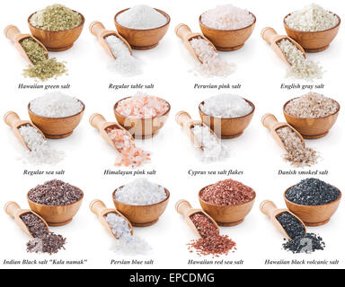 Collection de différents types de sel isolated on white Banque D'Images