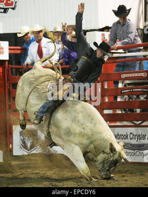 Cloverdale, Canada. 15 mai, 2015. Atwell Cory de la United States participe à la monte de taureau à l'assemblée annuelle 2015 Rodéo Professionnel Cloverdale à Cloverdale, BC, Canada, 15 mai 2015. Le Cloverdale Rodeo a été voté la première Performance Rodeo en Amérique du Nord par la Professional Rodeo Cowboy's Association en 1984. Aujourd'hui, le Rodéo de Cloverdale et exposition est la deuxième plus grande communauté rodeo au Canada, attirant des concurrents et des spectateurs dans le monde entier. Crédit : Sergei Bachlakov/Xinhua/Alamy Live News Banque D'Images