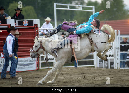 Cloverdale, Canada. 15 mai, 2015. Jake Brown, de l'United States livre concurrence à l'assemblée annuelle 2015 Rodéo Professionnel Cloverdale à Cloverdale, BC, Canada, 15 mai 2015. Le Cloverdale Rodeo a été voté la première Performance Rodeo en Amérique du Nord par la Professional Rodeo Cowboy's Association en 1984. Aujourd'hui, le Rodéo de Cloverdale et exposition est la deuxième plus grande communauté rodeo au Canada, attirant des concurrents et des spectateurs dans le monde entier. Crédit : Sergei Bachlakov/Xinhua/Alamy Live News Banque D'Images