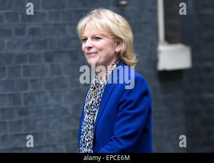 Anna Soubry,ministre de la petite entreprise,arrive au numéro 10 Downing Street pour une réunion du Cabinet Banque D'Images