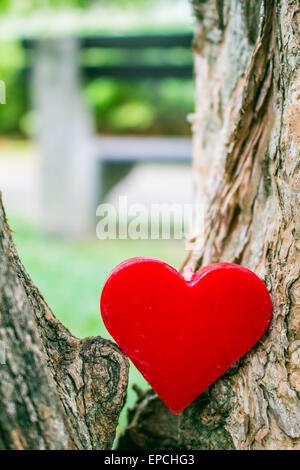 Coeur de l'indépendance sur le naturel de l'arbre Banque D'Images