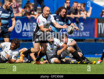 Cardiff, Pays de Galles. 16 mai, 2015. Guinness Pro12. Cardiff Blues versus zèbre. La Zèbre Brendon Leonard passe le ballon. Credit : Action Plus Sport/Alamy Live News Banque D'Images