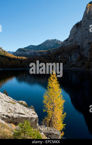 Vorderer bleu foncé vers Lahngangsee Elmgrube avec couleur d'automne mélèze et de Lakeshore, Styrie, Autriche Banque D'Images