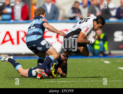 Cardiff, Pays de Galles. 16 mai, 2015. Guinness Pro12. Cardiff Blues versus zèbre. La Zèbre Dion Berryman. s Credit : Action Plus Sport/Alamy Live News Banque D'Images