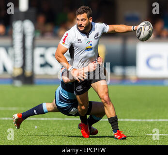 Cardiff, Pays de Galles. 16 mai, 2015. Guinness Pro12. Cardiff Blues versus zèbre. La Zèbre Filippo Ferrarini. s Credit : Action Plus Sport/Alamy Live News Banque D'Images