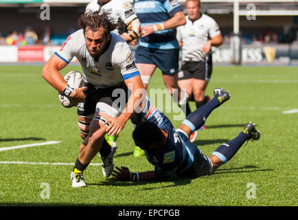 Cardiff, Pays de Galles. 16 mai, 2015. Guinness Pro12. Cardiff Blues versus zèbre. Valerio Bernabo du zèbre plonge pour la ligne pour son essai. Credit : Action Plus Sport/Alamy Live News Banque D'Images