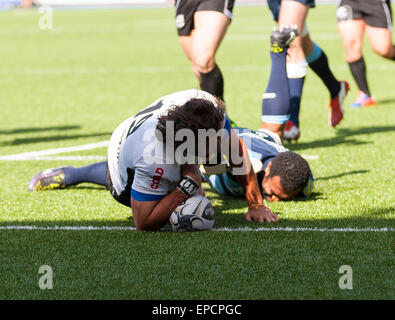 Cardiff, Pays de Galles. 16 mai, 2015. Guinness Pro12. Cardiff Blues versus zèbre. Valerio Bernabo du zèbre marque un essai. Credit : Action Plus Sport/Alamy Live News Banque D'Images