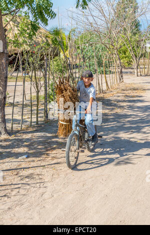 Jeune guatémaltèque garçon sur un vélo portant un paquet de plantes dans un village agricole dans le sud du Guatemala Banque D'Images