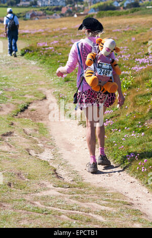 Freshwater Bay, île de Wight, Hampshire, Royaume-Uni. 16 mai 2015. Météo France : chaude journée ensoleillée à Freshwater Bay, île de Wight, Hampshire, Royaume-Uni. Tigger est pris pour une promenade Crédit : Carolyn Jenkins/Alamy Live News Banque D'Images