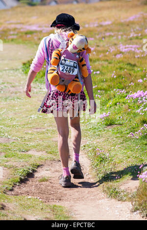 Freshwater Bay, île de Wight, Hampshire, Royaume-Uni. 16 mai 2015. Météo France : chaude journée ensoleillée à Freshwater Bay, île de Wight, Hampshire, Royaume-Uni. Tigger est pris pour une promenade Crédit : Carolyn Jenkins/Alamy Live News Banque D'Images