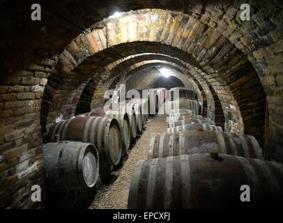 L'ancienne cave à vin avec des tonneaux de vin en bois. Banque D'Images