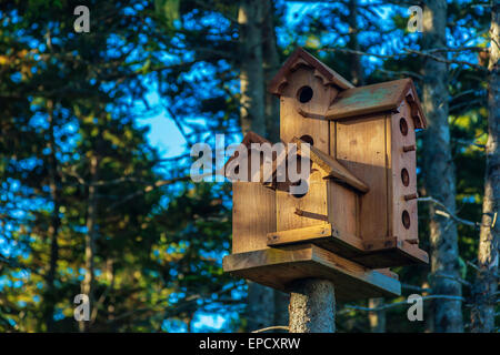 Une collection de cabanes en bois rustique à un arbre dans une forêt d'épinettes. Banque D'Images