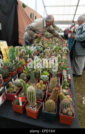 Royal Horticultural Society (RHS) Malvern Festival du printemps, le 9 mai 2015 Banque D'Images